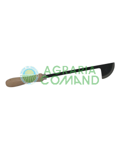 Coiffes de haricots Rinaldi de type Piémont