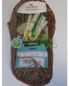 Asparago bianco zeno