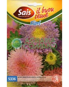 Astro Princess double in mix