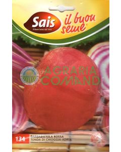 Betterave rouge ronde de Chioggia-Adria