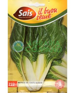 Bietola da costa Barese