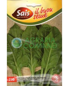 Bietola da taglio verde