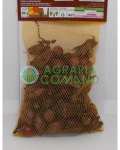 Bulbilli cipolla rossa