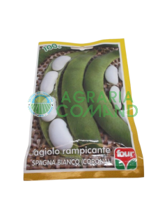 Haricot grimpant blanc Espagne