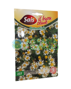 Seme camomilla comune