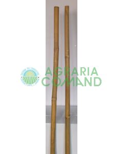 Tutore canna in bamboo