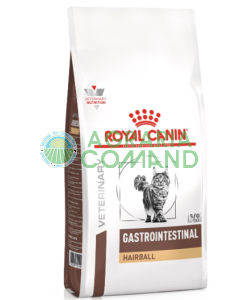 GASTROINTESTINAL HAIRBALL Cat Royal Canin Croquettes