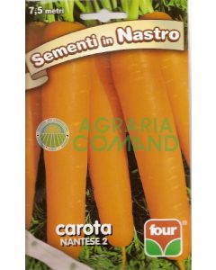 Carota nantese in nastro