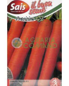 Tellus constitution Sais graine de carotte