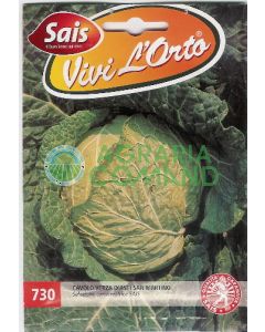 CHOU DE MILAN DE L'ASTI SAN MARTINO