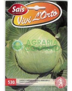 CHOU BLANC DE BRUNSWICK