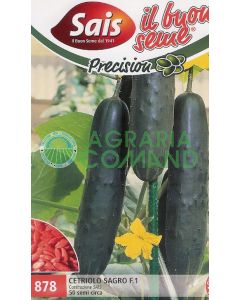 SAGE CELERIUM F.1 50 graines env.