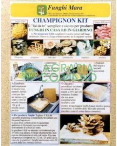 tavolette_in_legno_di _pioppo tavolette_in_legno_di _pioppo