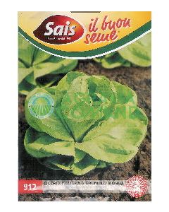 Cicoria grumolo bionda