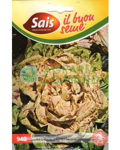 Cicoria variegata di Castelfranco