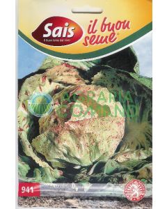 Chicorée panachée Lusia