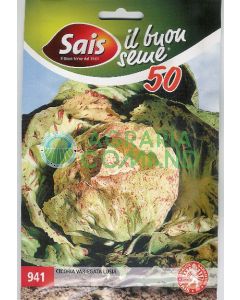 Cicoria Variegata di Luisa Cicoria Variegata di Luisa