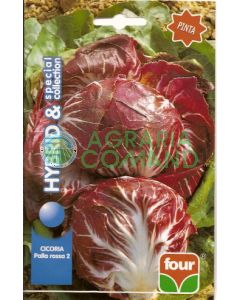 CHICORY RED BALL 2 sel. Pinte COLLECTION SPÉCIALE