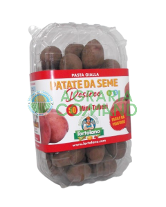 Confezione 50 mini tuberi Desiree
