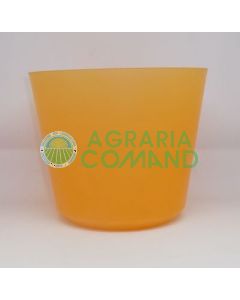 Coprivaso arancione trasparente