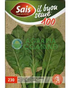 BIETOLA VERTE LISSE POUR COUPE OU HERBES - ROMAGNA gr. 100 BIETOLA VERTE LISSE POUR COUPE OU HERBES - ROMAGNA gr. 100