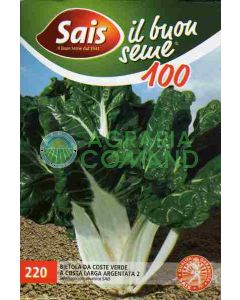 SILVER WIDE COAST GREEN BIETOLA 2 gr.100