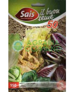 Miscuglio di cicorie invernali Miscuglio di cicorie invernali