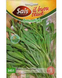 Seme Strigolo Sclupit Bubbolino