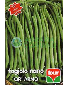 Haricot nain Quatre