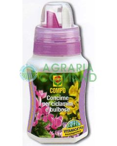 Compo concime ciclamini