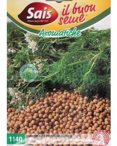 CORIANDRE OU PERSIL CHINOIS