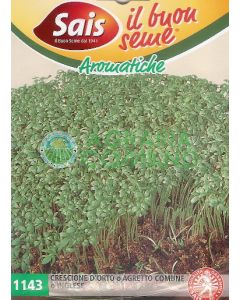 CRESSON DE TERRE OU AGRETTI COMMUN OU ANGLAIS