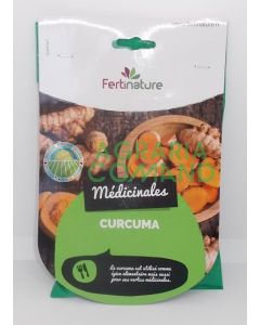Curcuma