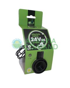 Confezione elettrovalvola 24V