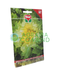 Endivia of Ortolani Cup Four selection (en anglais)