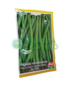 Fagiolo rampicante Blue Lake Four