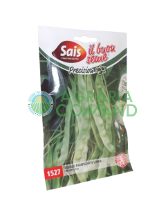 Haricot grimpant Limka Sais