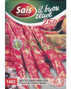 Haricots nains BORLOTTO à écosser