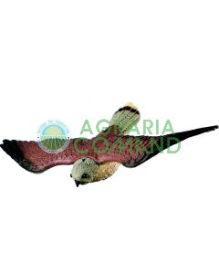 Falco_spaventapasseri_in_plastica