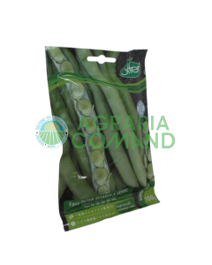 Sabre vert Graine de haricot