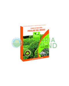 Feromone piralide del bosso 2 capsule