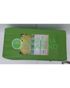 balla-funghi-gialletto