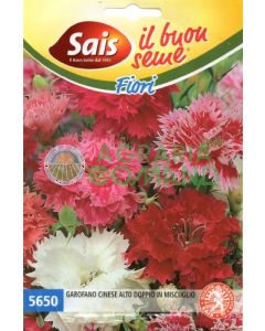 Œillet chinois double mélange