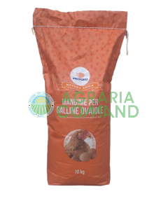 noyau de poules pondeuses à farine