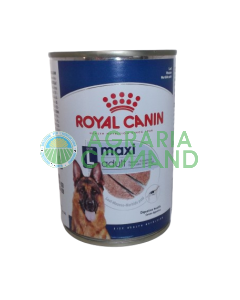 Alimento Royal Canin umido cani adulti