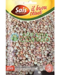 Lenticchia_da_seme_di_Nevola Lenticchia_da_seme_di_Nevola