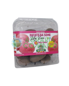 Paquet de semences de pommes de terre Lilly Rose Paquet de semences de pommes de terre Lilly Rose