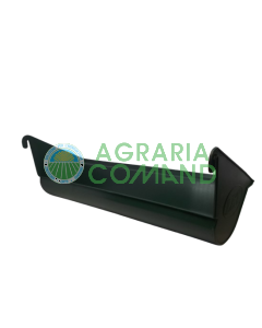 Mangiatoia verde Let