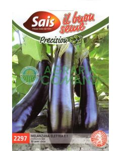 Electra long aubergine