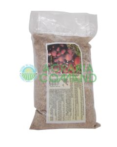 Micelio fresco pioppino Micelio fresco pioppino